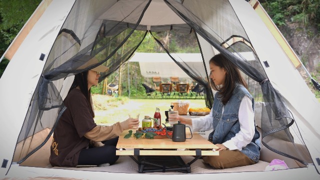 Amazon.com : Camping Tent,2/4 Person Waterproof Tent with 2